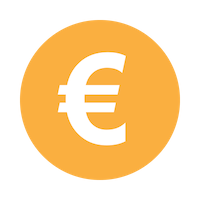 Euro icon